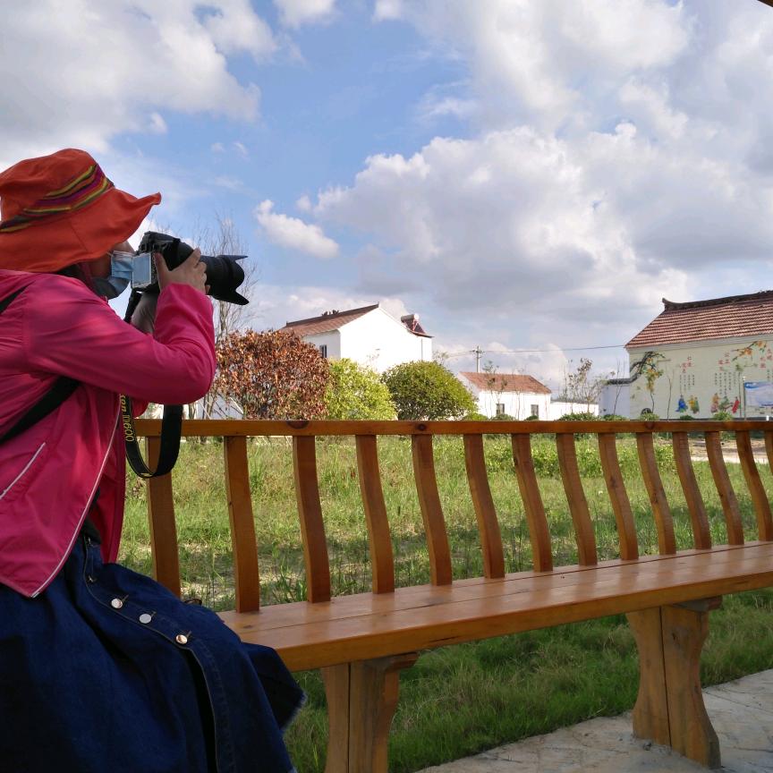 榕（手机摄影）