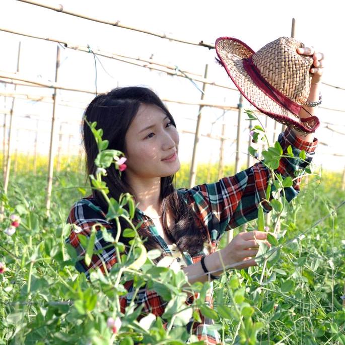 农业植保🌽秋