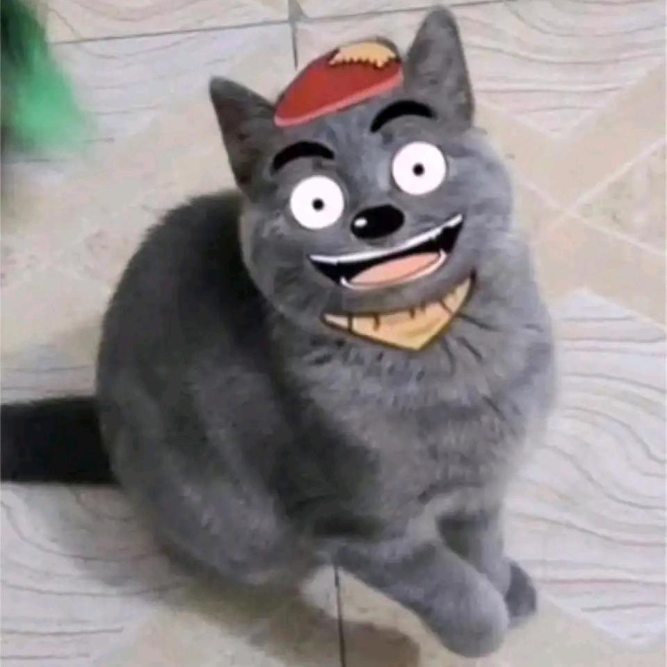 貓太郎