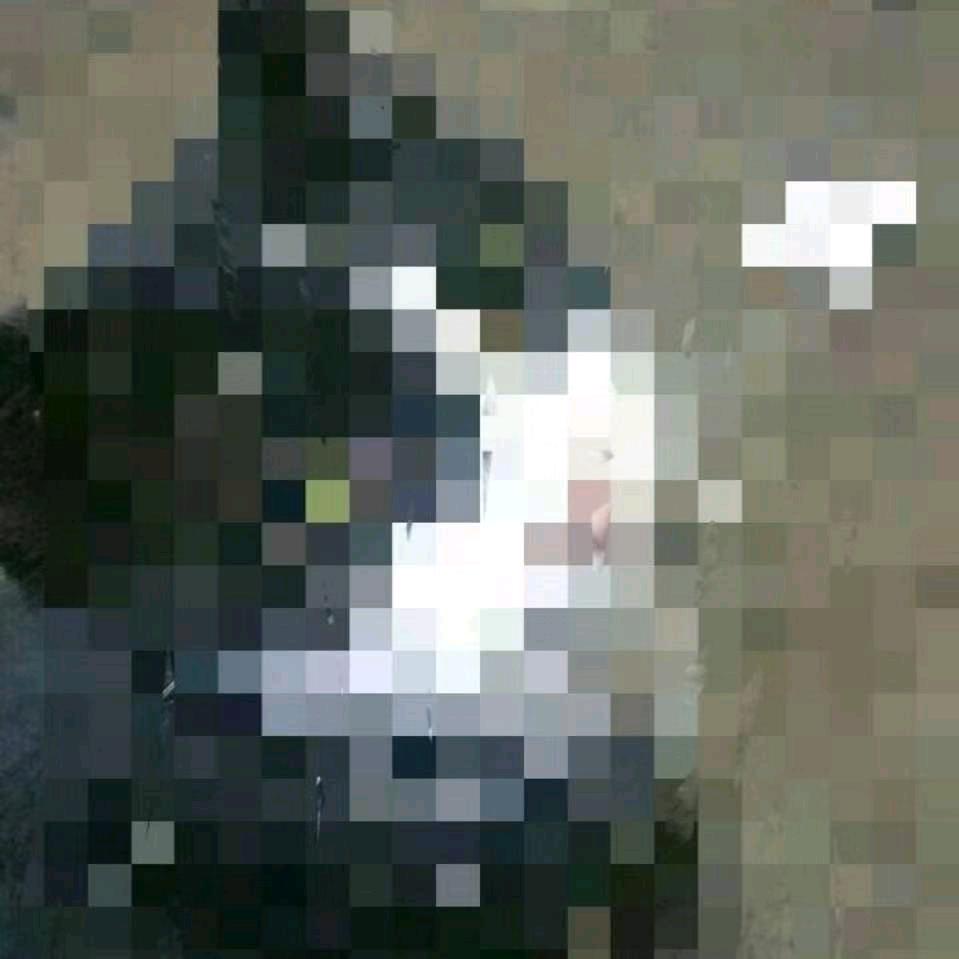 苏宁易购