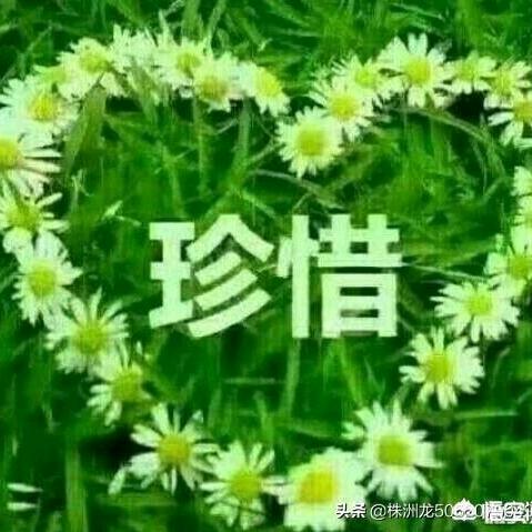 9🍀9🍀9🍀