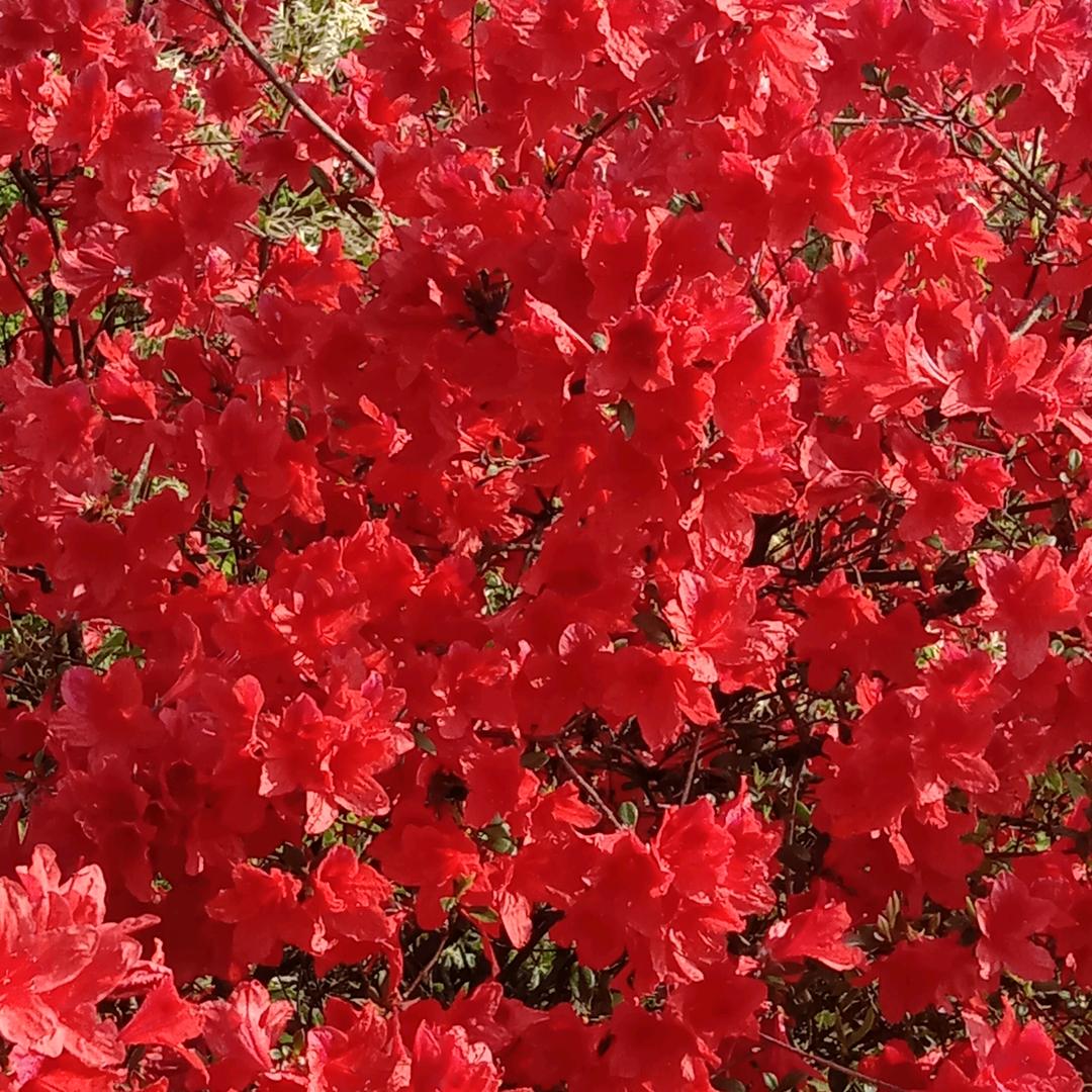 家和万事兴🌻拒绝私聊🌻