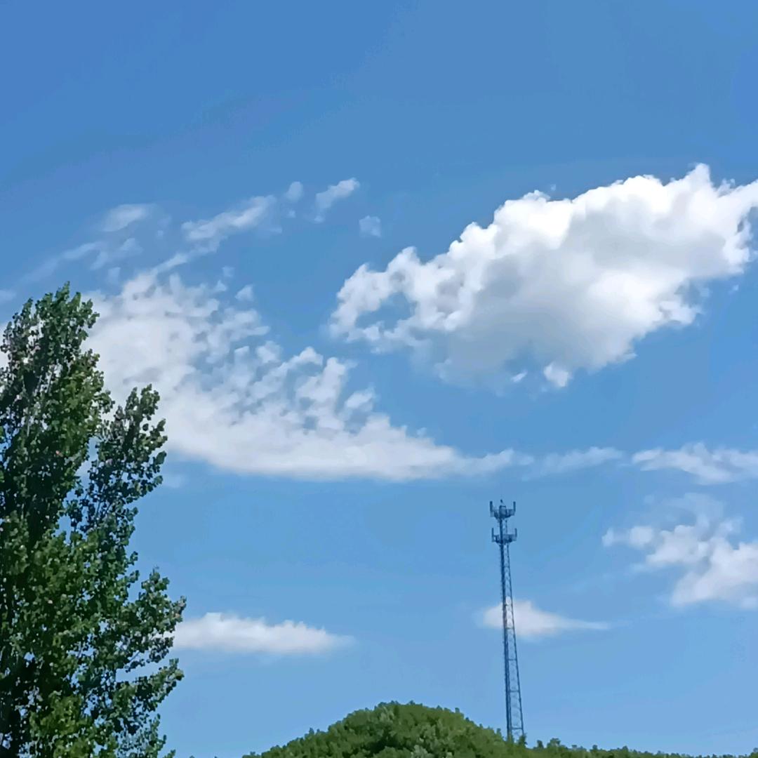 面朝黄土背朝天