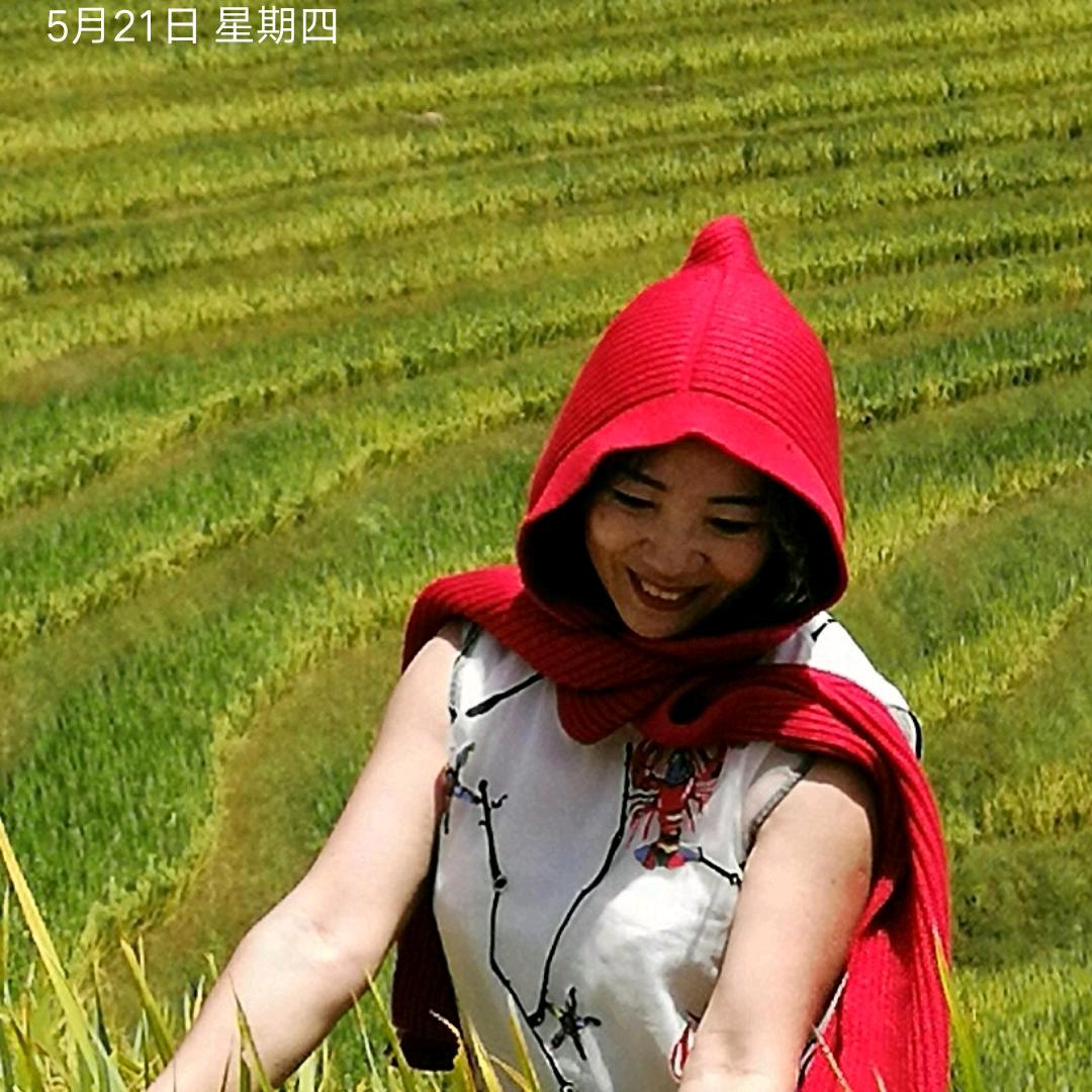 芳草听雨