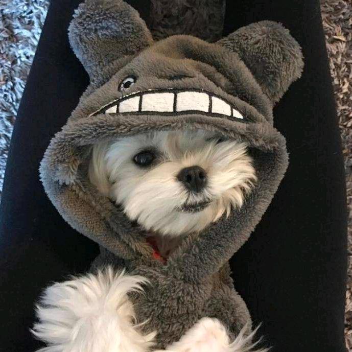 司🐴不砸🥣德缸