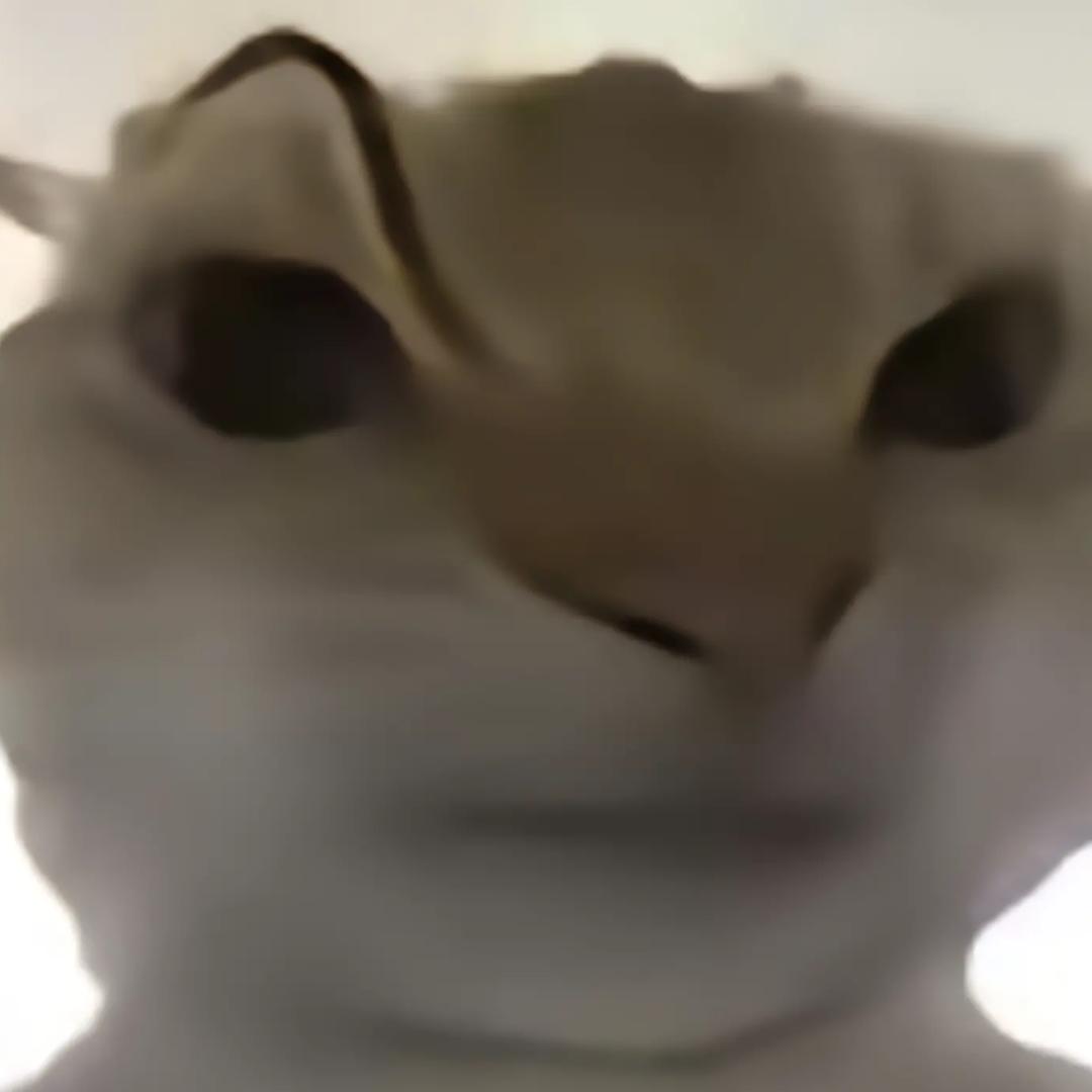 🌈吃吃吃123456🌈