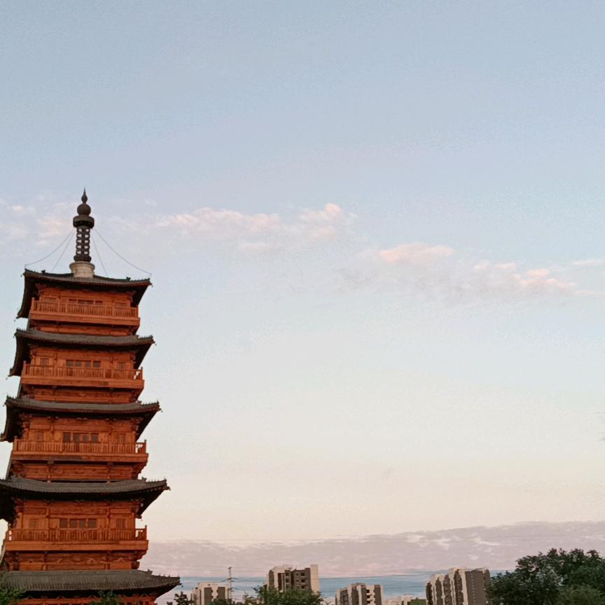 辉子哥