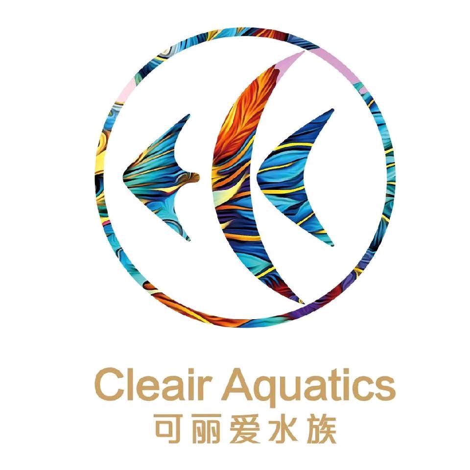 乐山可丽爱鱼缸