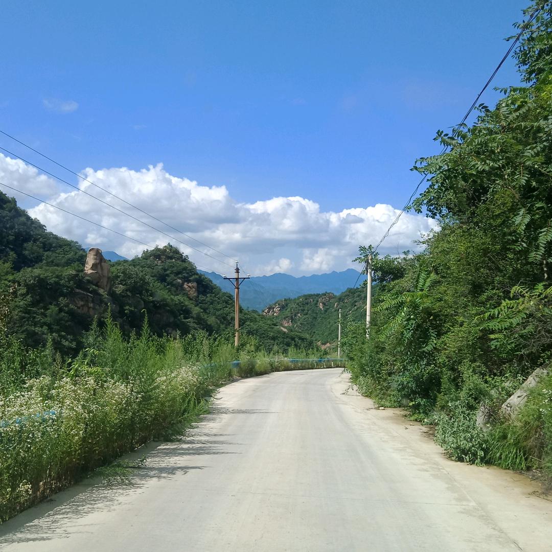 阿风人力高受娟