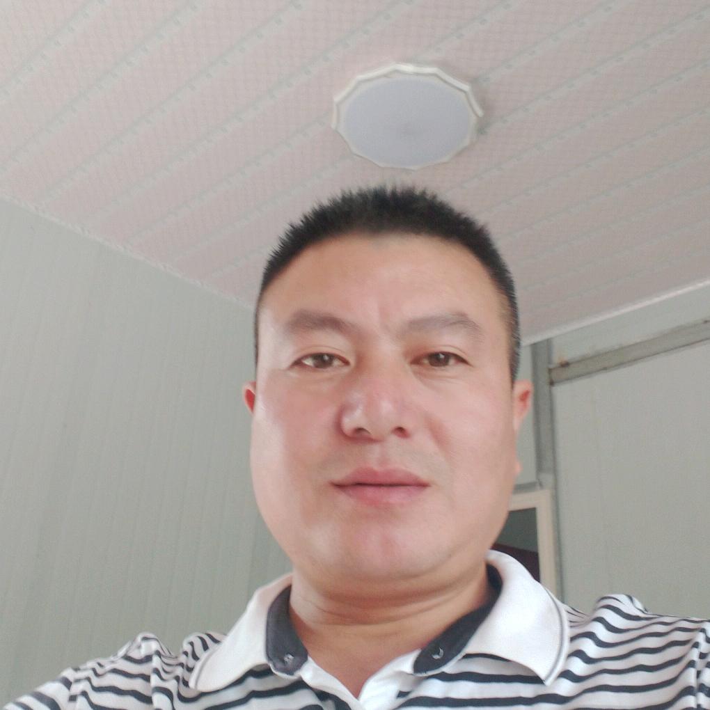鱼在路上走