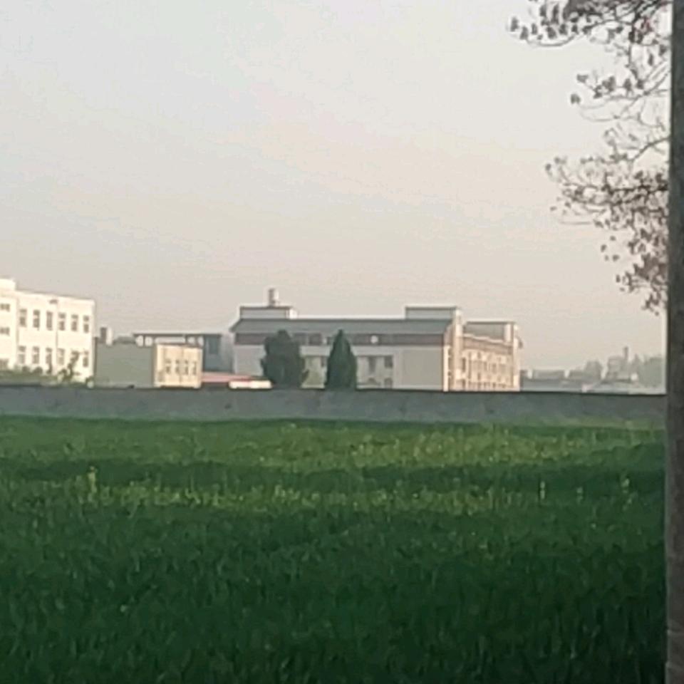 一切看淡