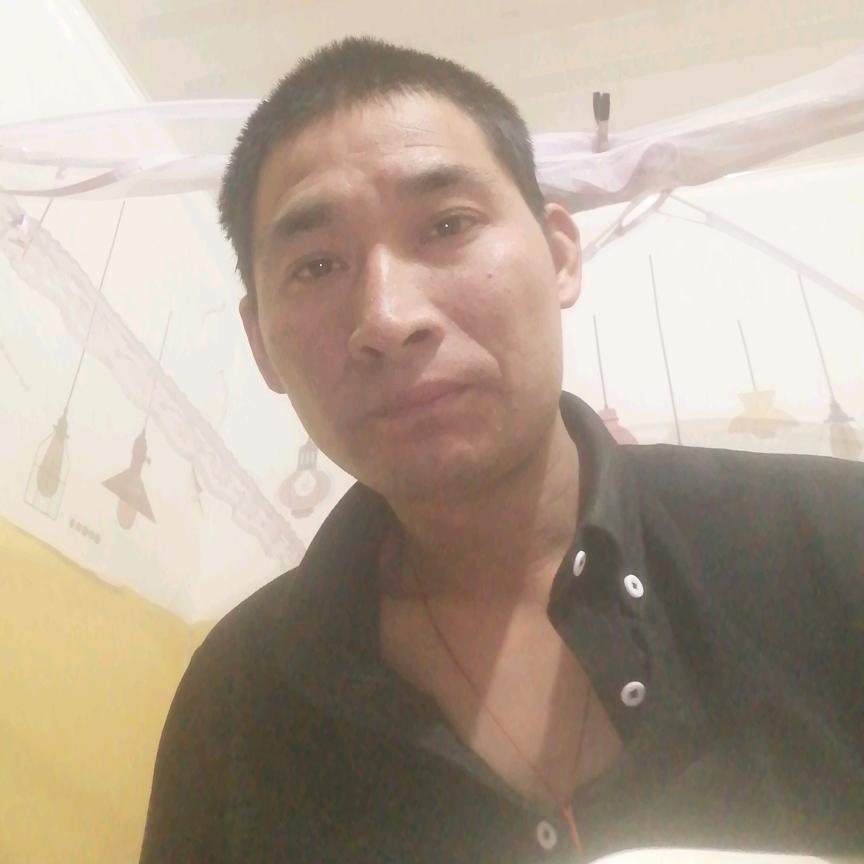 陈迎春