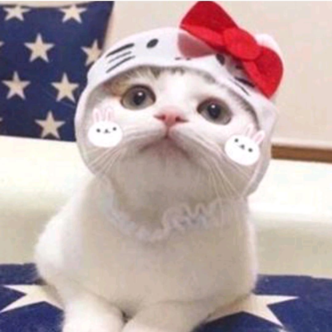 猛砍水果