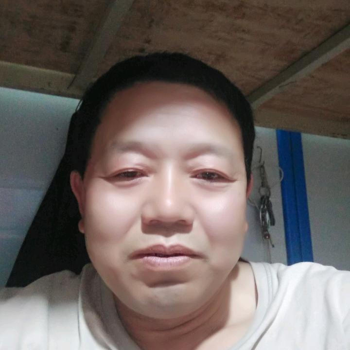 金磊磊