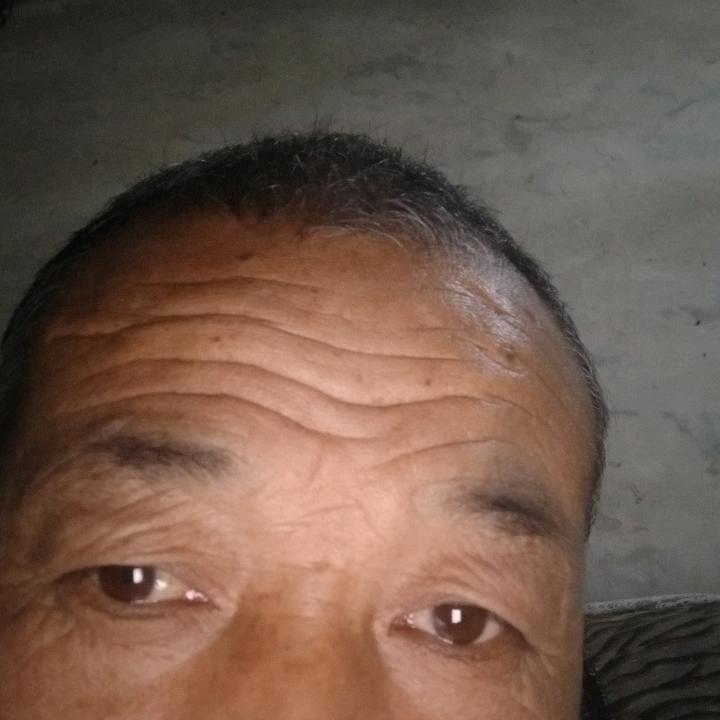 飞龙在天
