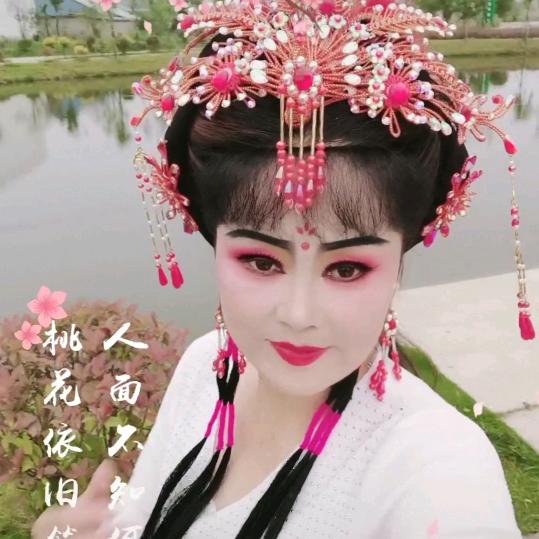 张霞庐剧团