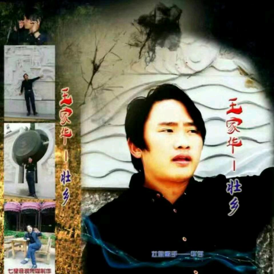 王家华壮乡