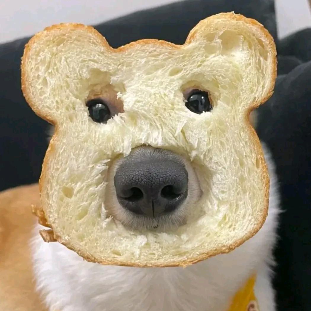 乐乐