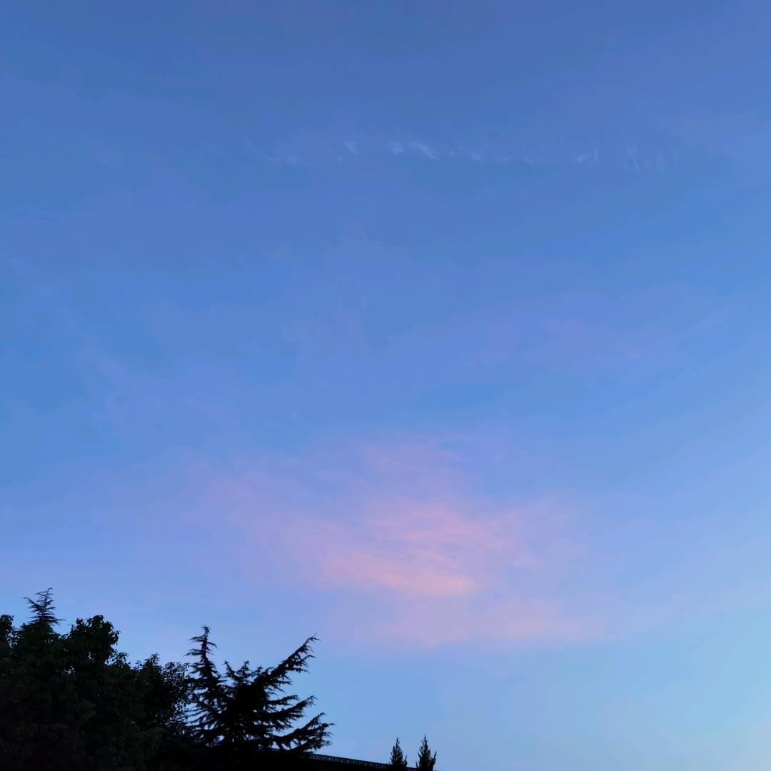 悠桃桃