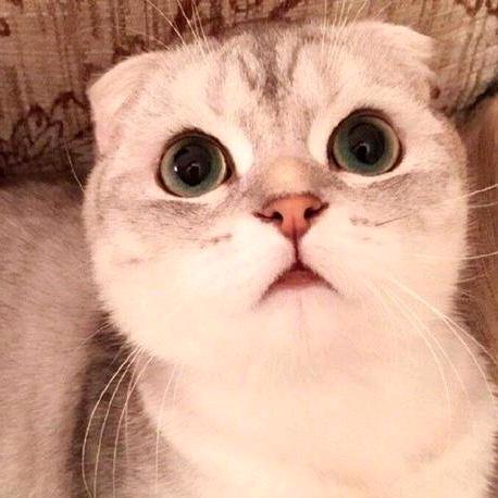 亿凡丶吧主（永恒之塔）