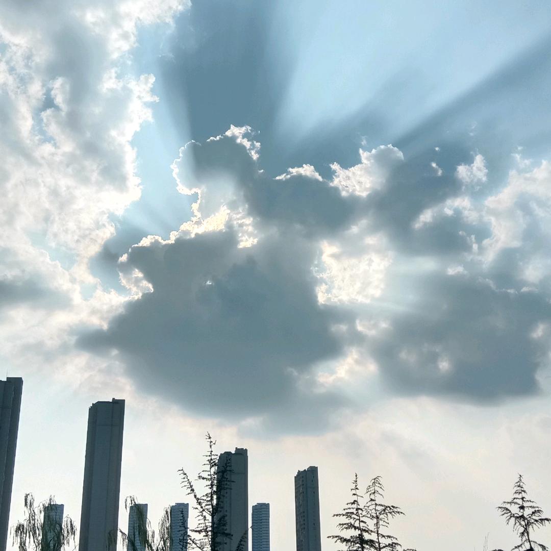 用爱生活