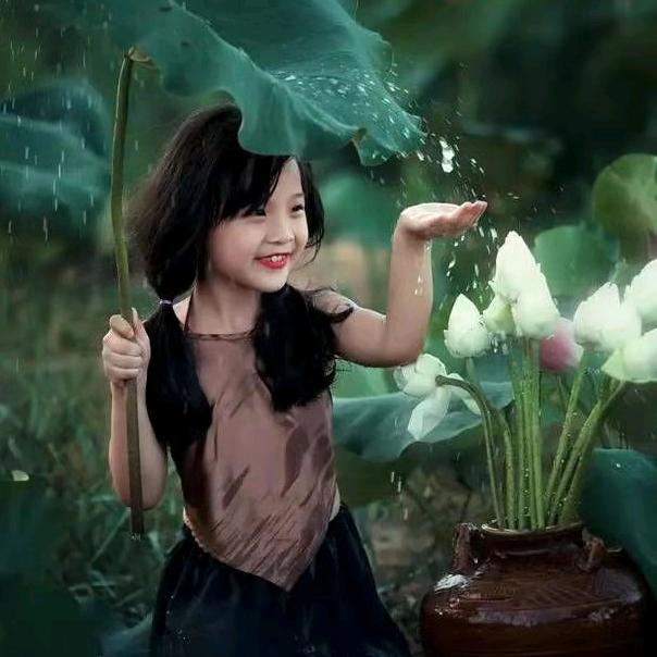 梅兰竹菊
