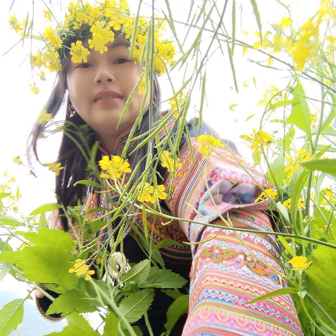 彩云之南的姑娘安徽的媳妇