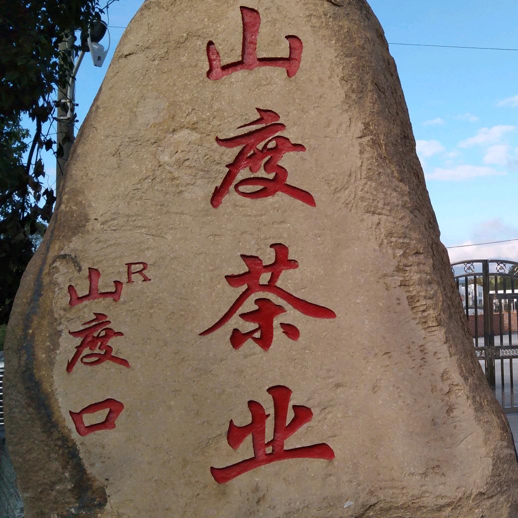 山度茶业缪曙晖