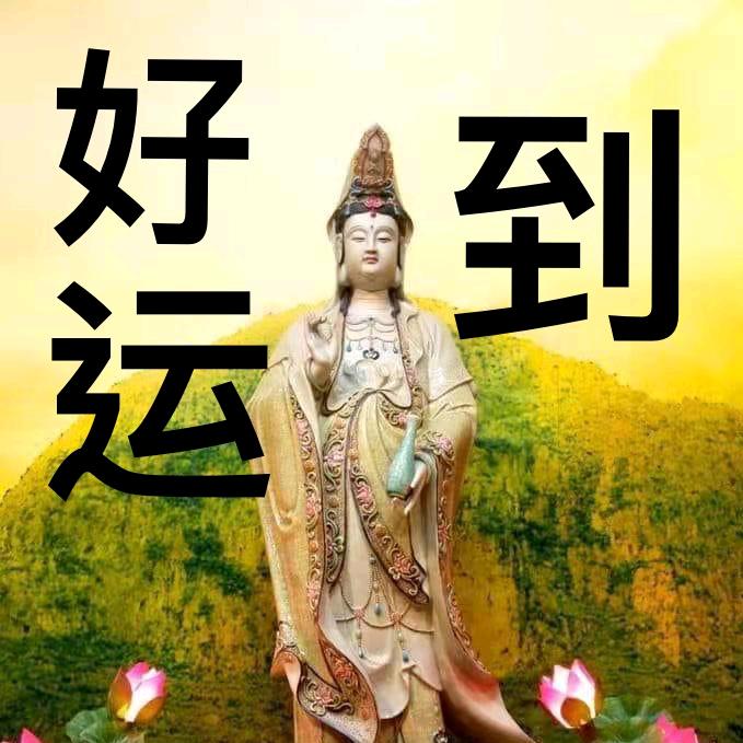 感恩的心🙏🙏🙏