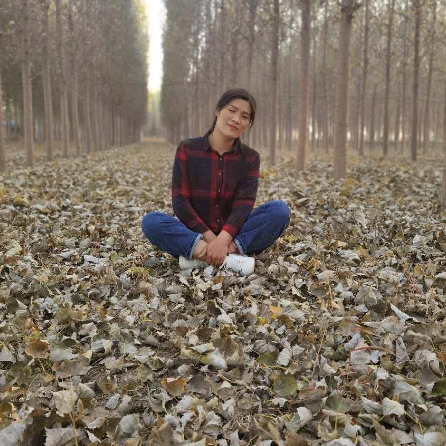 海之平凡🌲生产榕树枝的姐姐