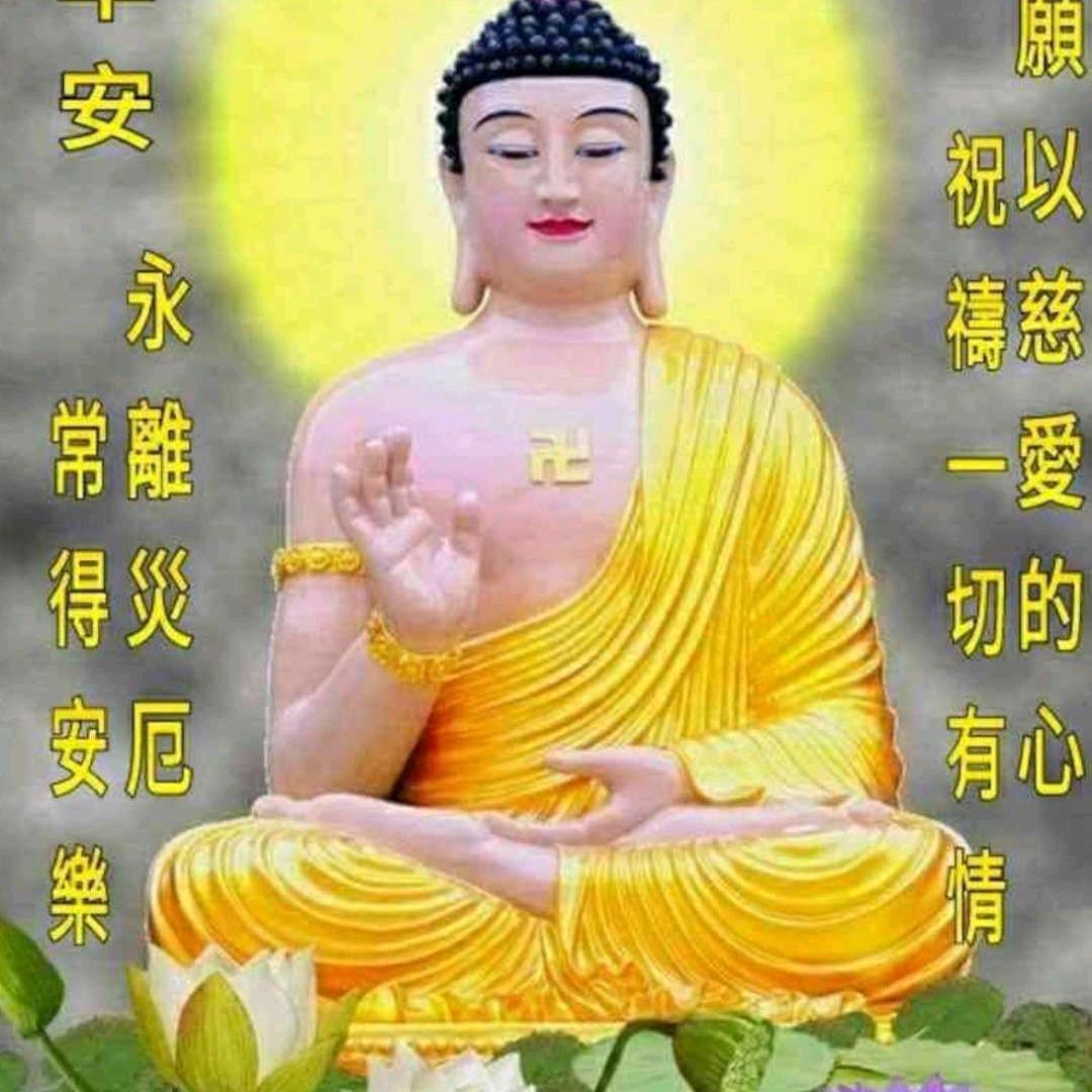 莲花盛开