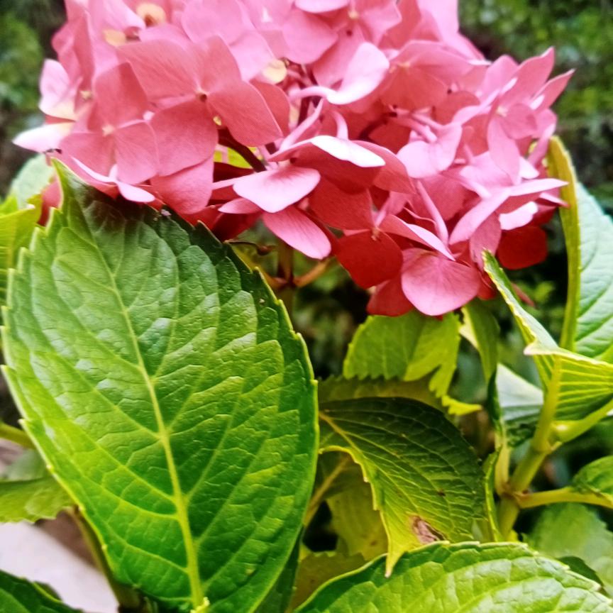 健康