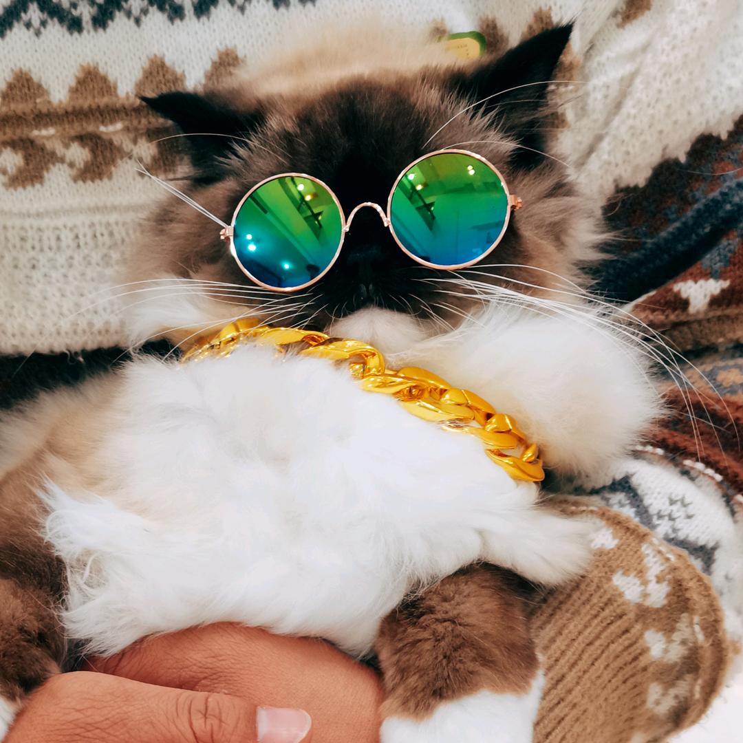 梦露宠物零食小铺