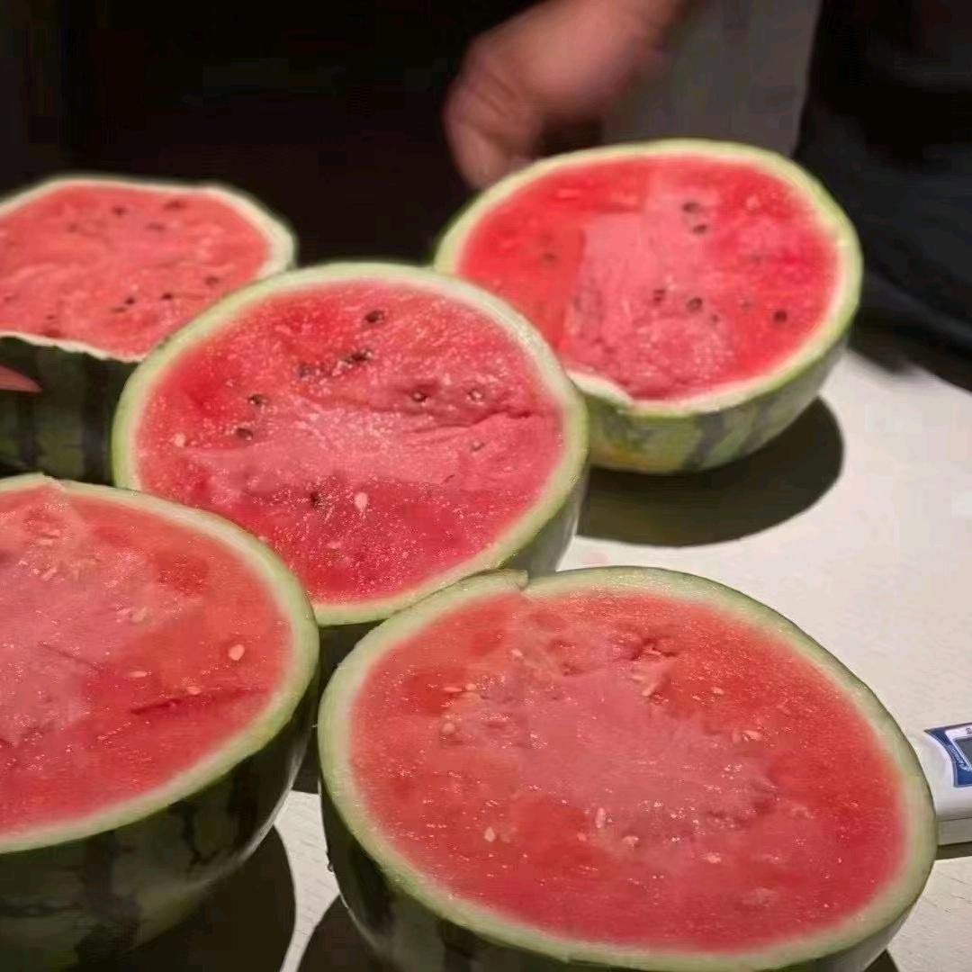 南王店西瓜小永