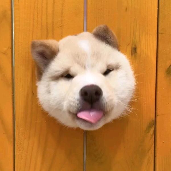 风会听到吗  ̖́-
