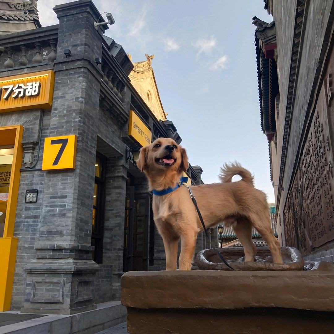 ༄༊᭄ꦿ冷无畏🌺ོꦿ࿐