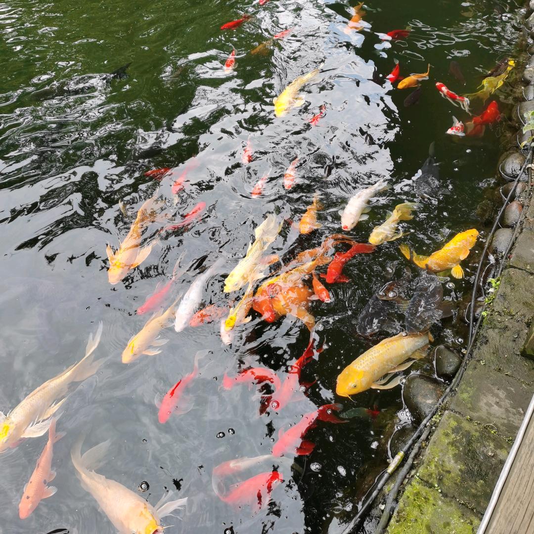 用户379062美好时光
