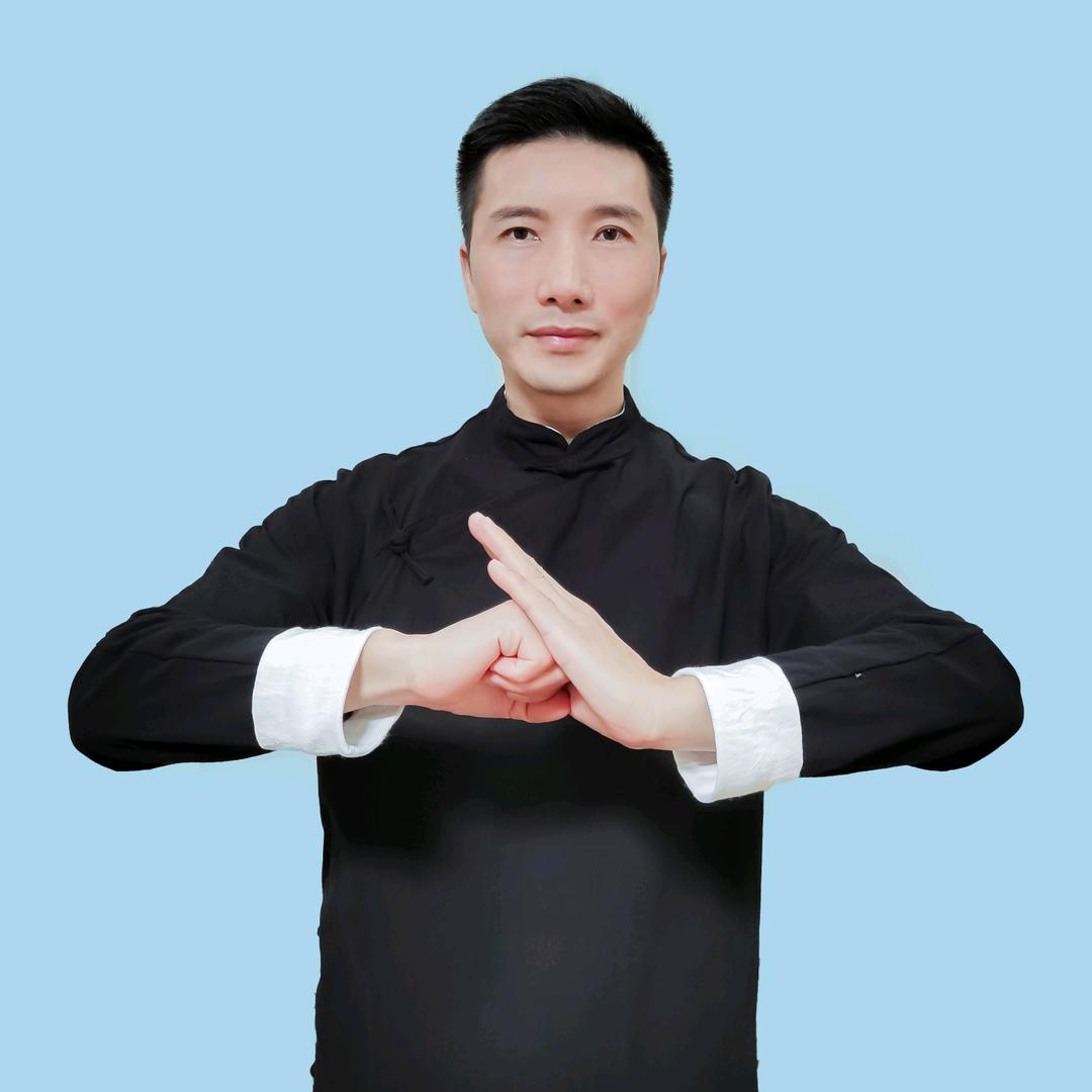 陈正雷太极—吉龍