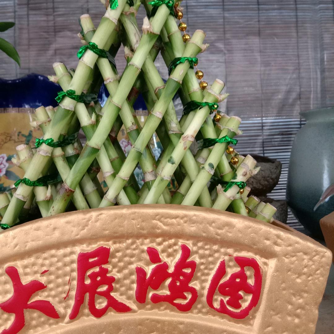戏迷王姐