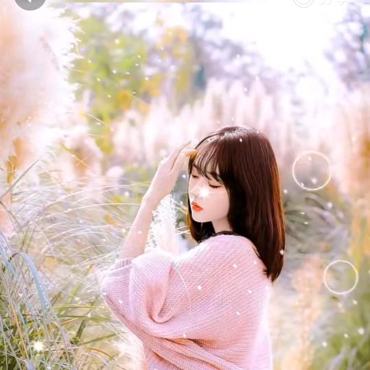 布依胖姐