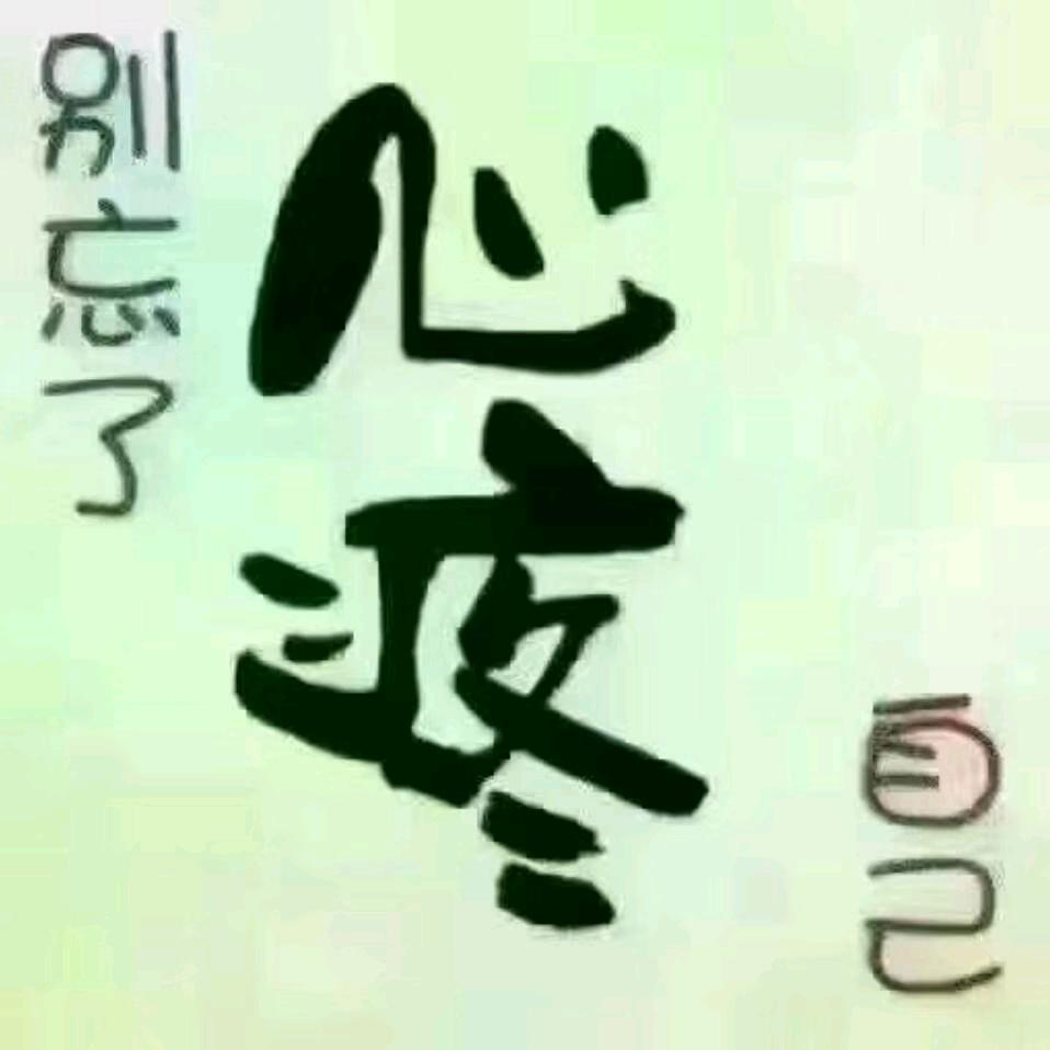 曾经来过