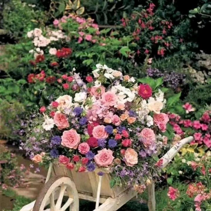 三宝妈，袁建霞