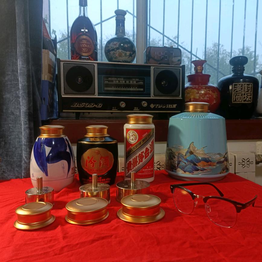 爬树的鱼