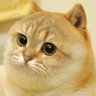 是时候