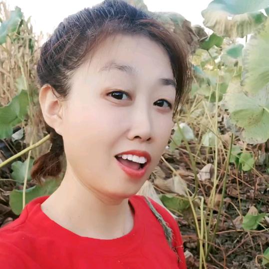 农村芳姐