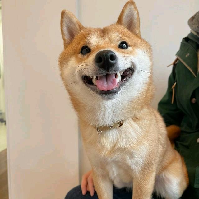 头像是我没错就是我。
