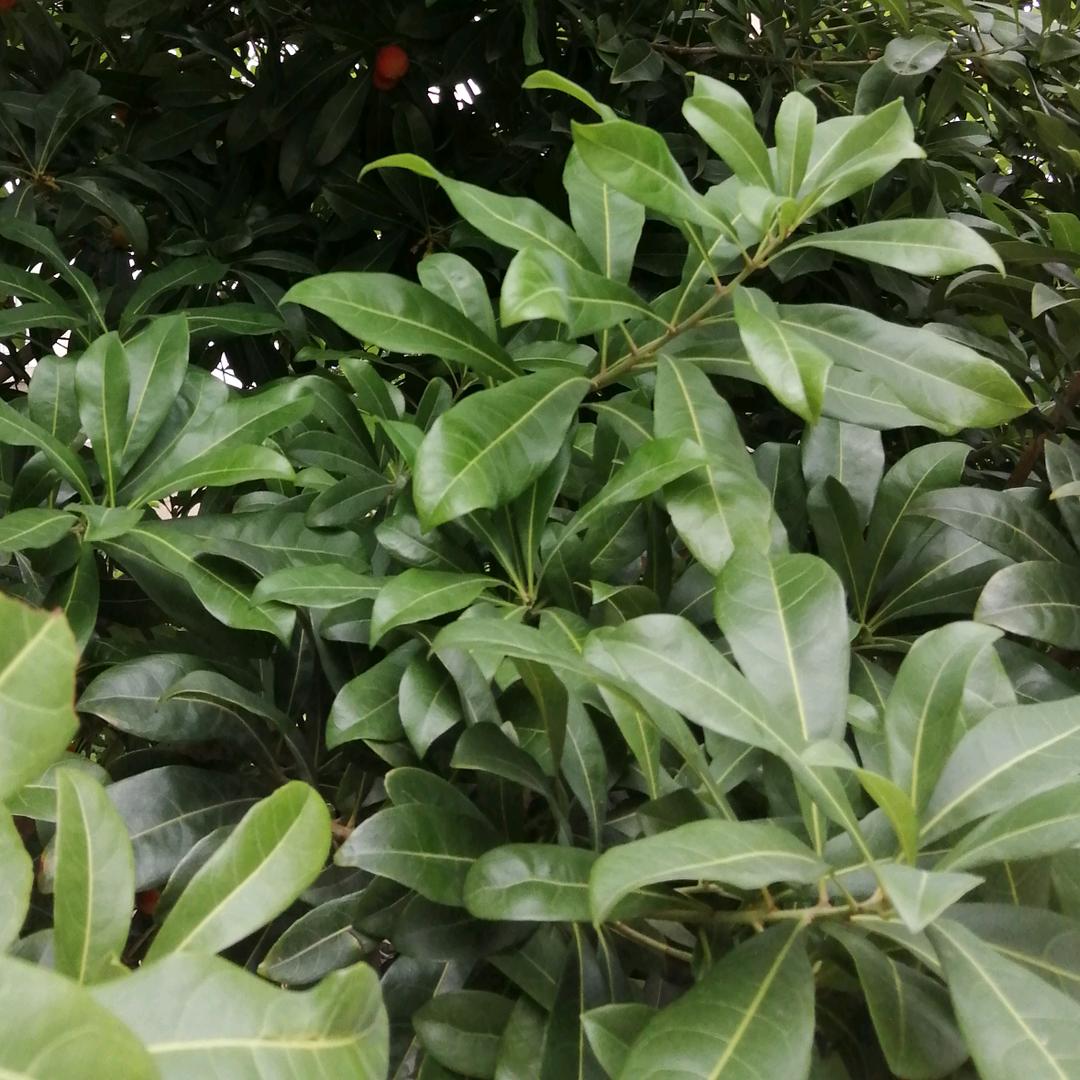 雨过天晴了。