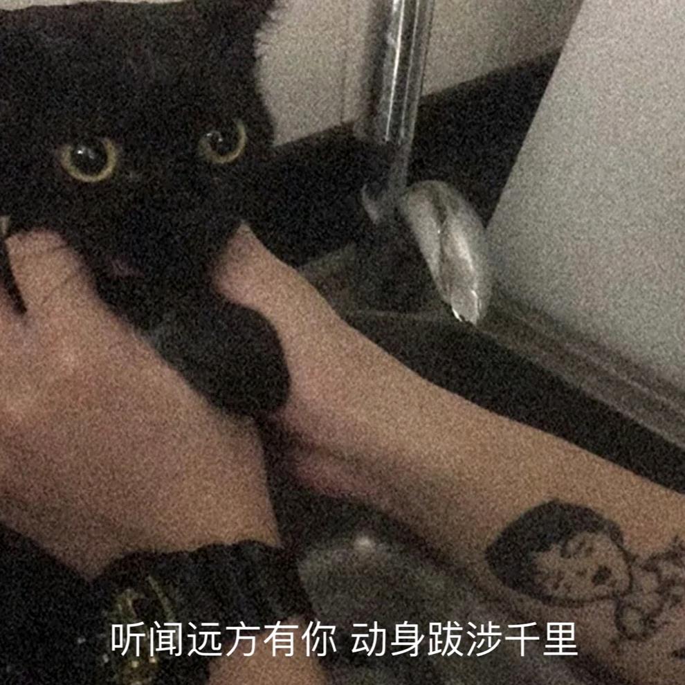 尚赫