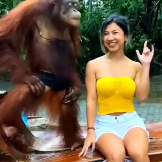 毛毛