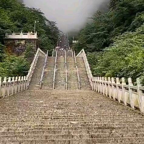 秦一